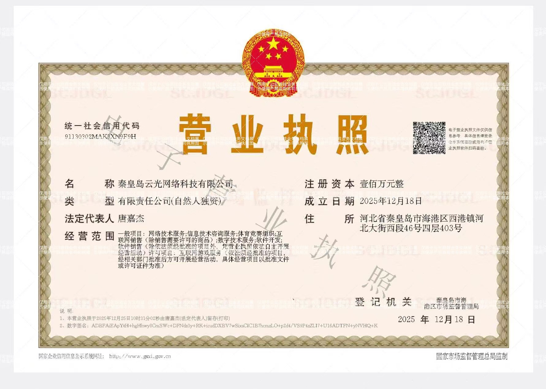 秦皇岛云光网络科技有限公司营业执照